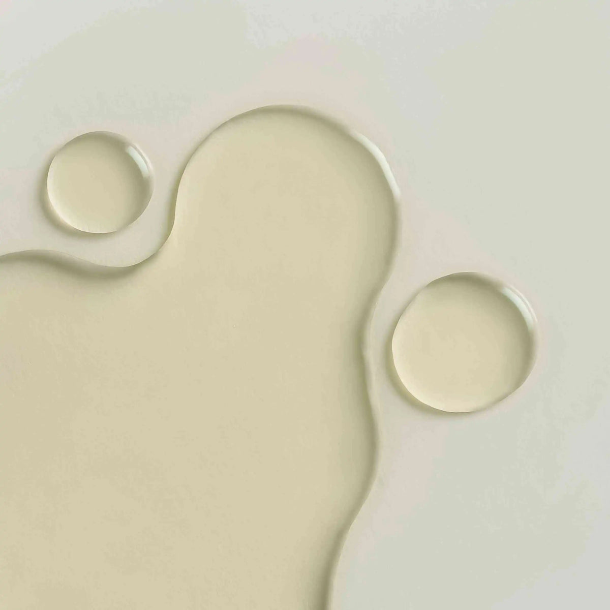 Cactus Inner Skin Moisture BOUNCY SERUM Gesichtspflege WHAMISA Naturkosmetik 