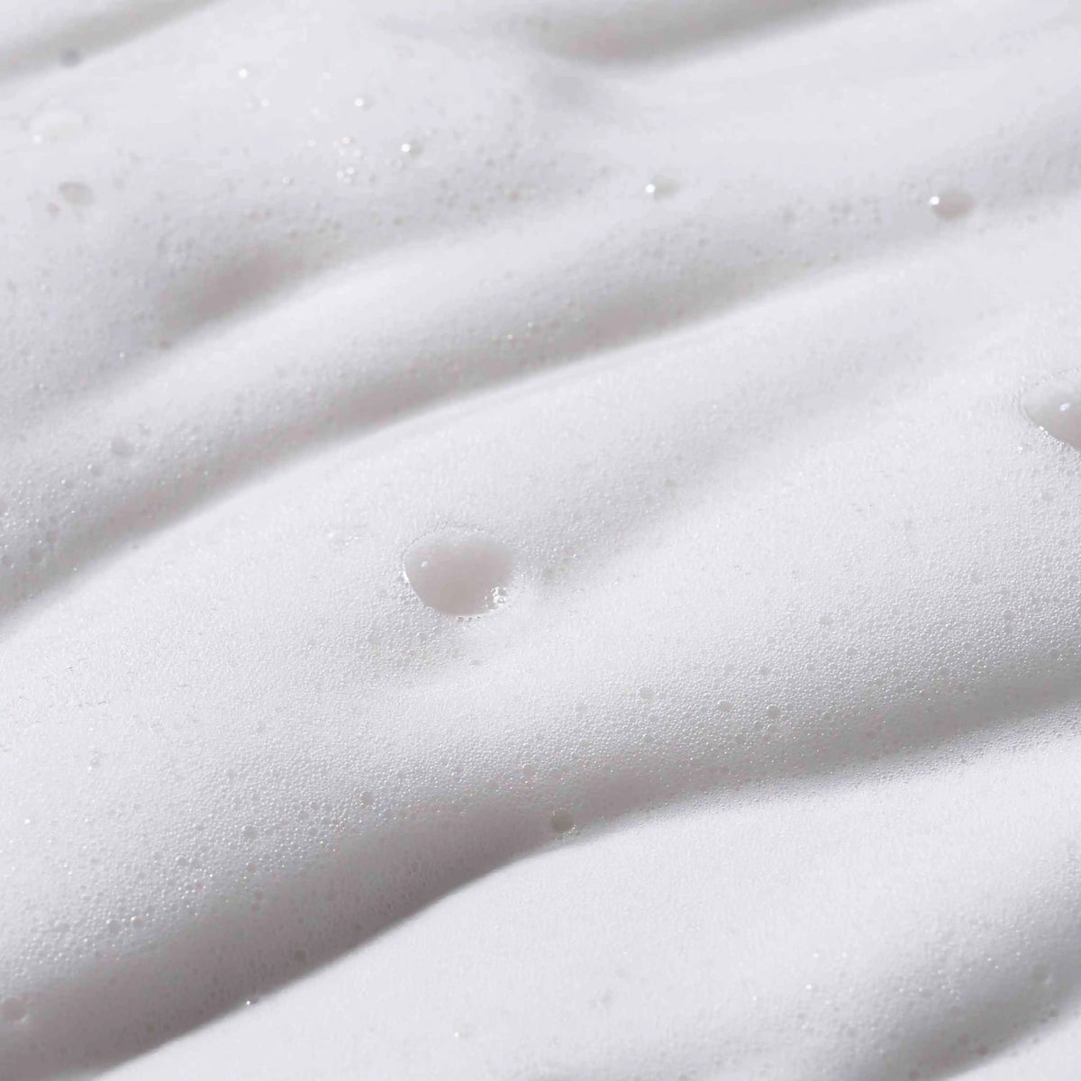 Organic Seeds Shampoo Dry Scalp Haarpflege WHAMISA Naturkosmetik 