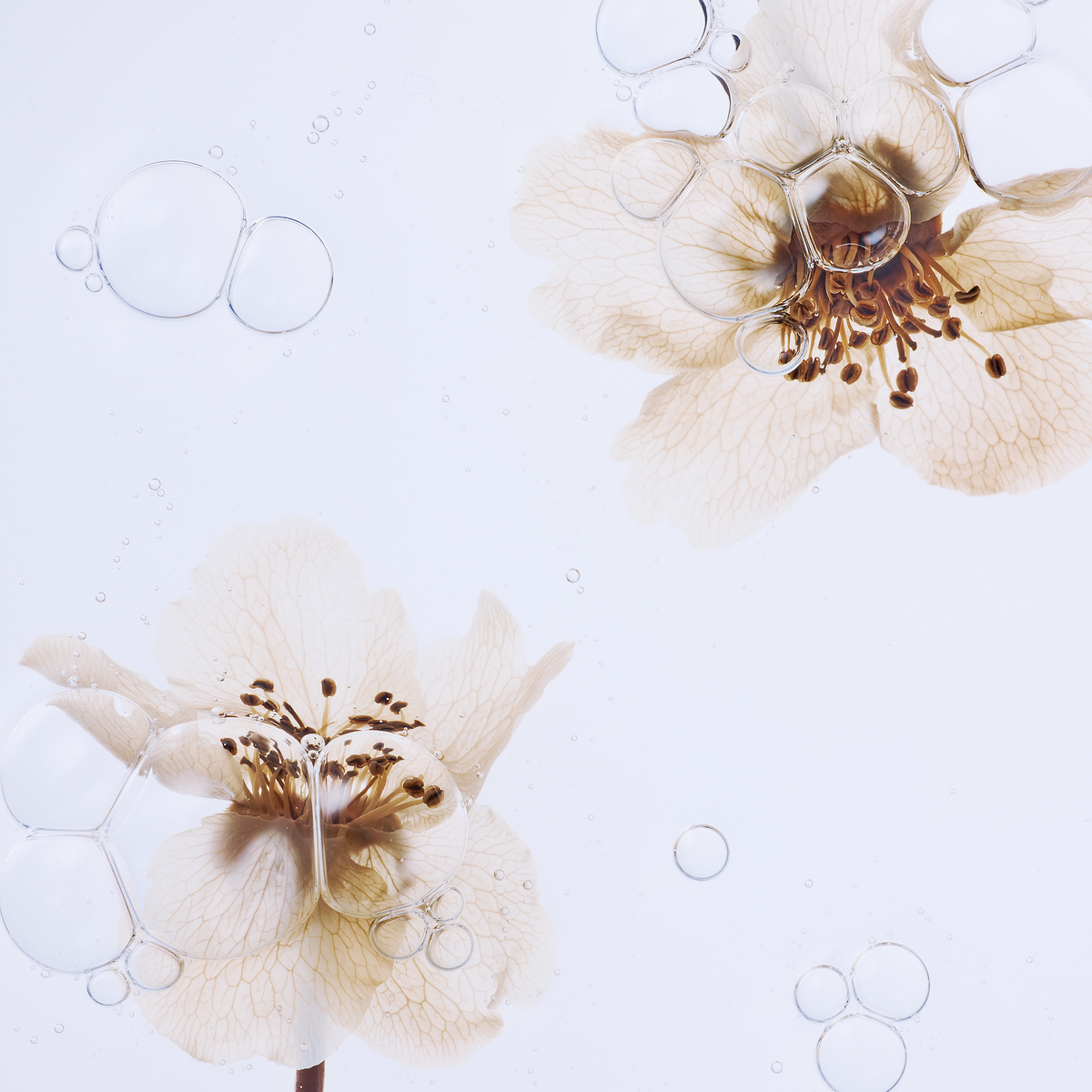 Organic Pear Blossom Essence Toner