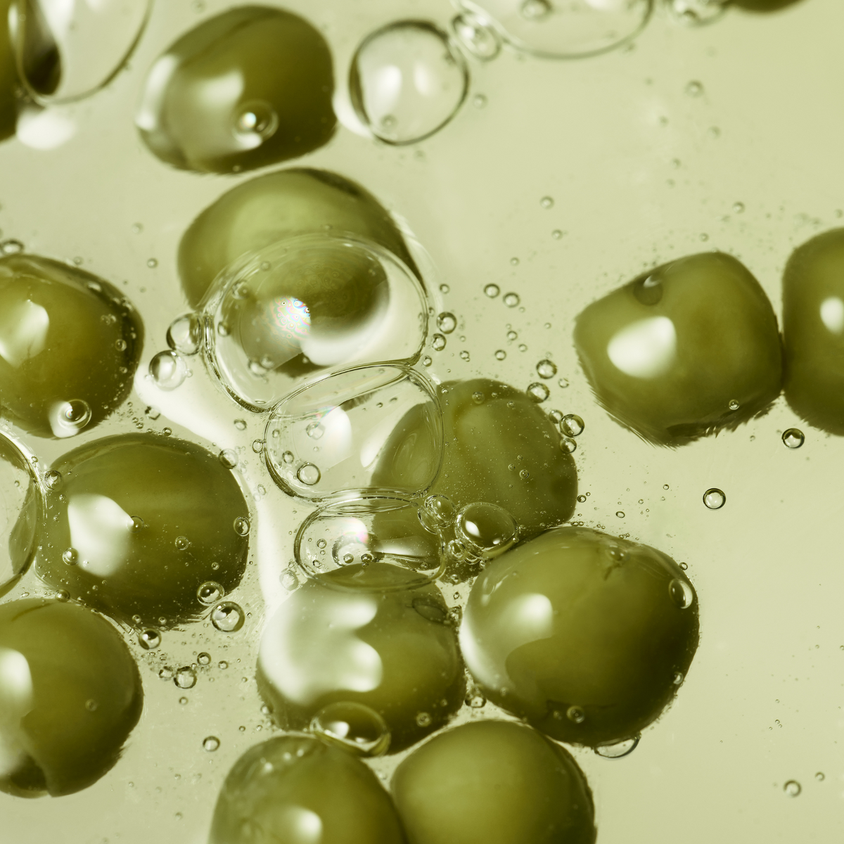 Organic Seeds Green Peas Shampoo Scalp Care