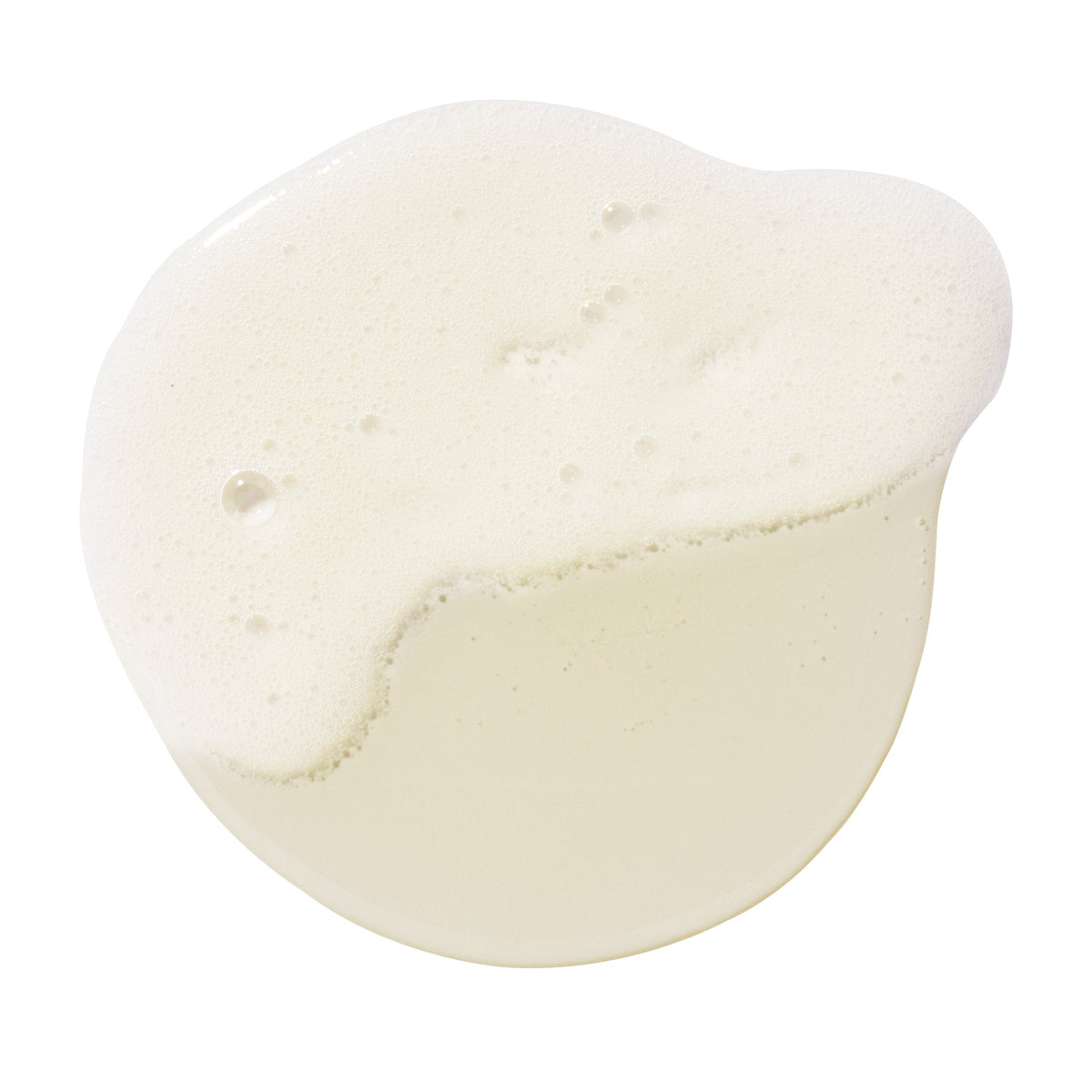 Shampoo Oily Scalp Haarpflege WHAMISA 